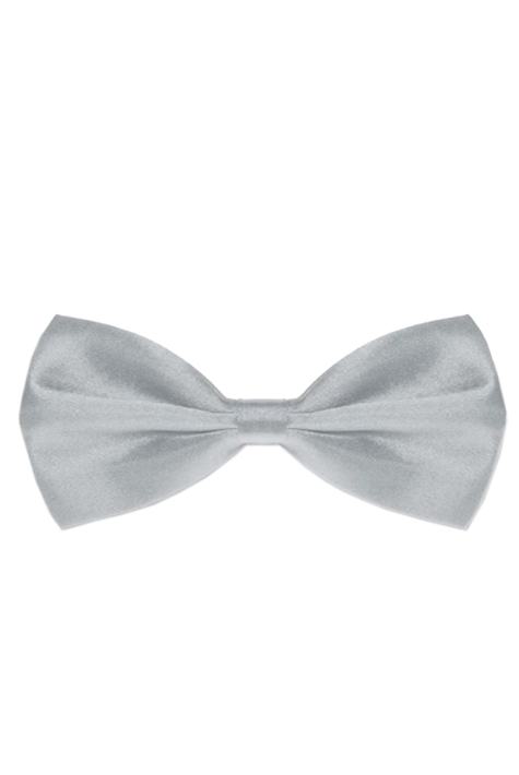 AUTIGA silver