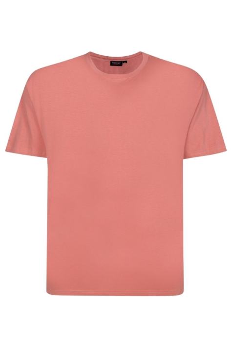 Espionage T015 в корал